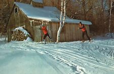 Postcard VT Chittenden Cross Country Skiing Mt Top Ski Center 1990 Old PC G894 picture