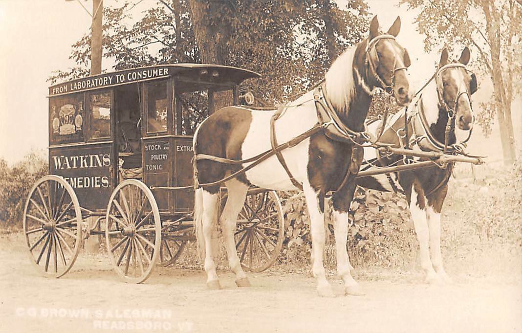 READSBORO, VT, HORSE DRAWN WATKINS REMEMDY WAGON, REAL PHOTO PC c 1910-20