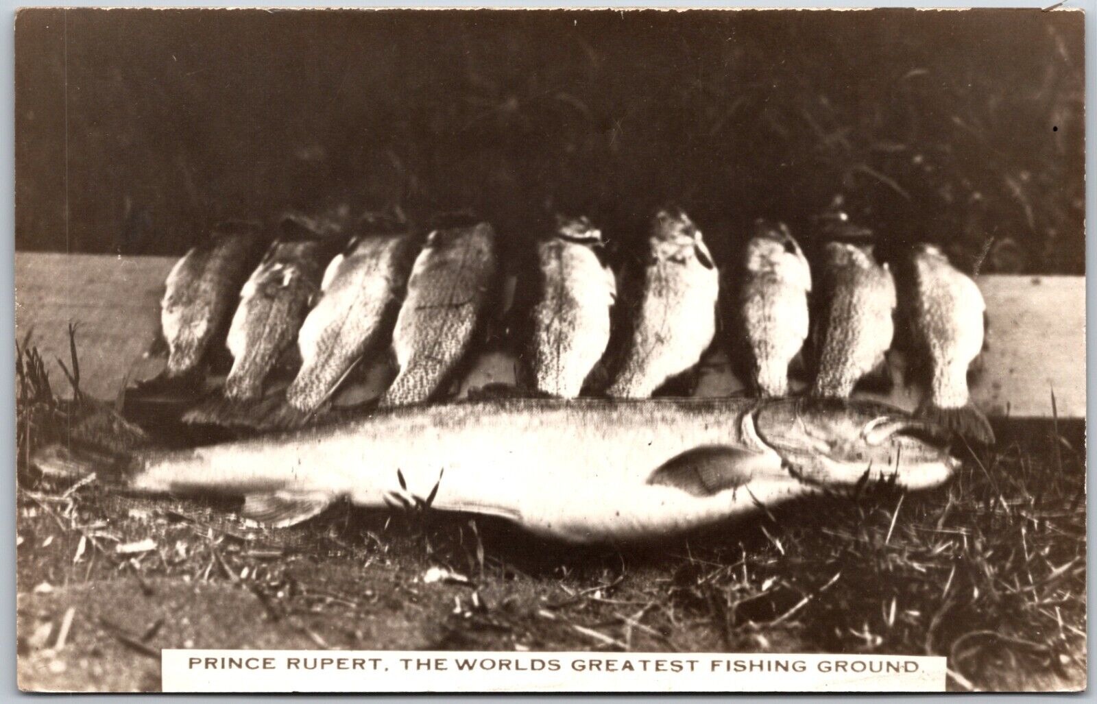 Prince Rupert, Canada, Worlds Greatest Fishing Ground RPPC - Postcard