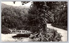 Postcard RPPC Saxton's River Vermont VT Trail River Landscape picture