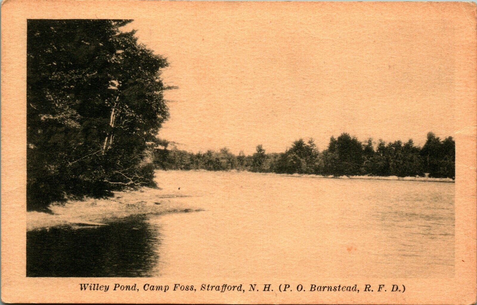 Willey Foss Camp Foss Strafford New Hampshire UNP Artone DB Postcard C12