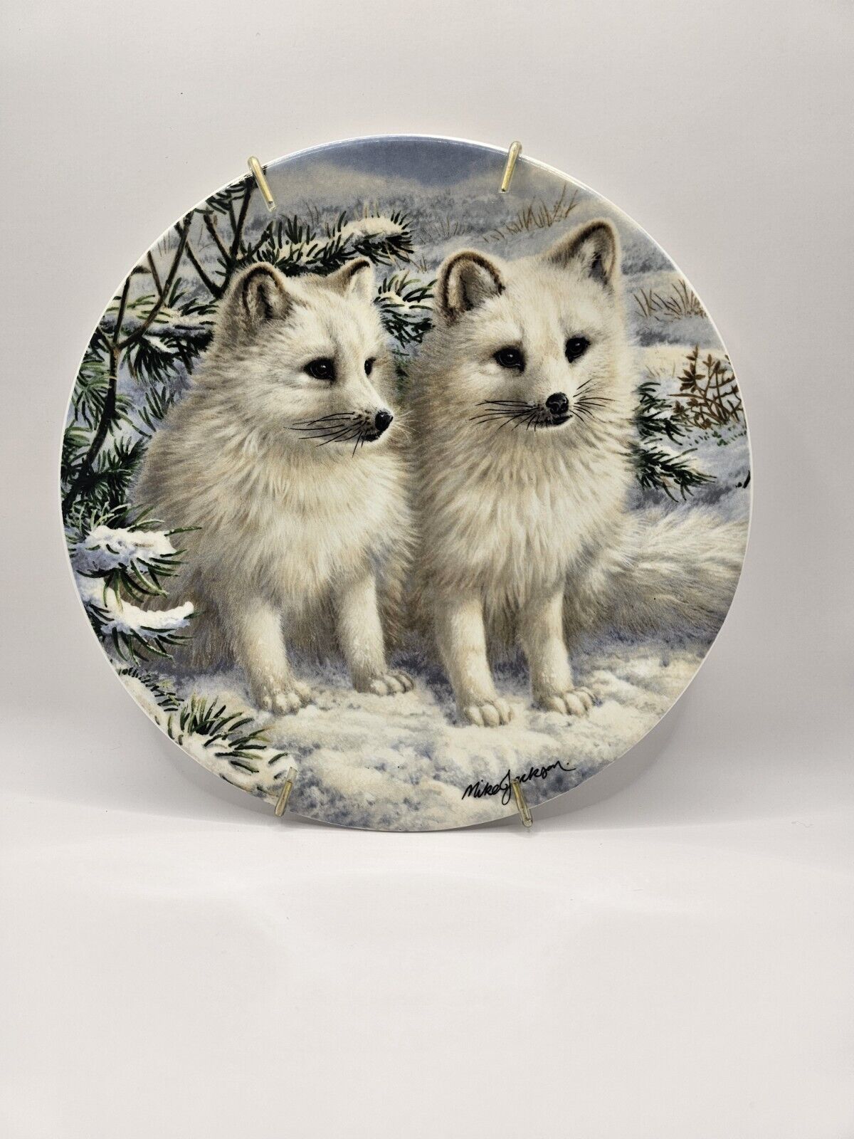 Royal Grafton Artic Fox Cubs Bradex Collector Plate . Decorative 
