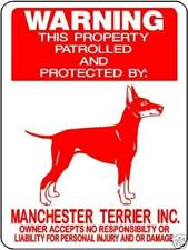 0546 Manchester Terrier 12
