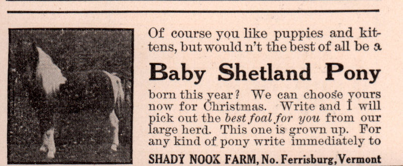 3 early ADS  SHADY NOOK PONY SHETLAND THINNING HERD N FERRISBURGH BABY 