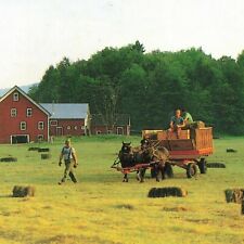 Sleigh Rides Farm Horse Harvest VT Waitsfield UNP Chrome New England Postcard picture