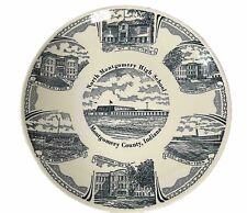 Montgomery Indiana Blue White Collector Plate MT Zion Linden East Union Darlingt picture