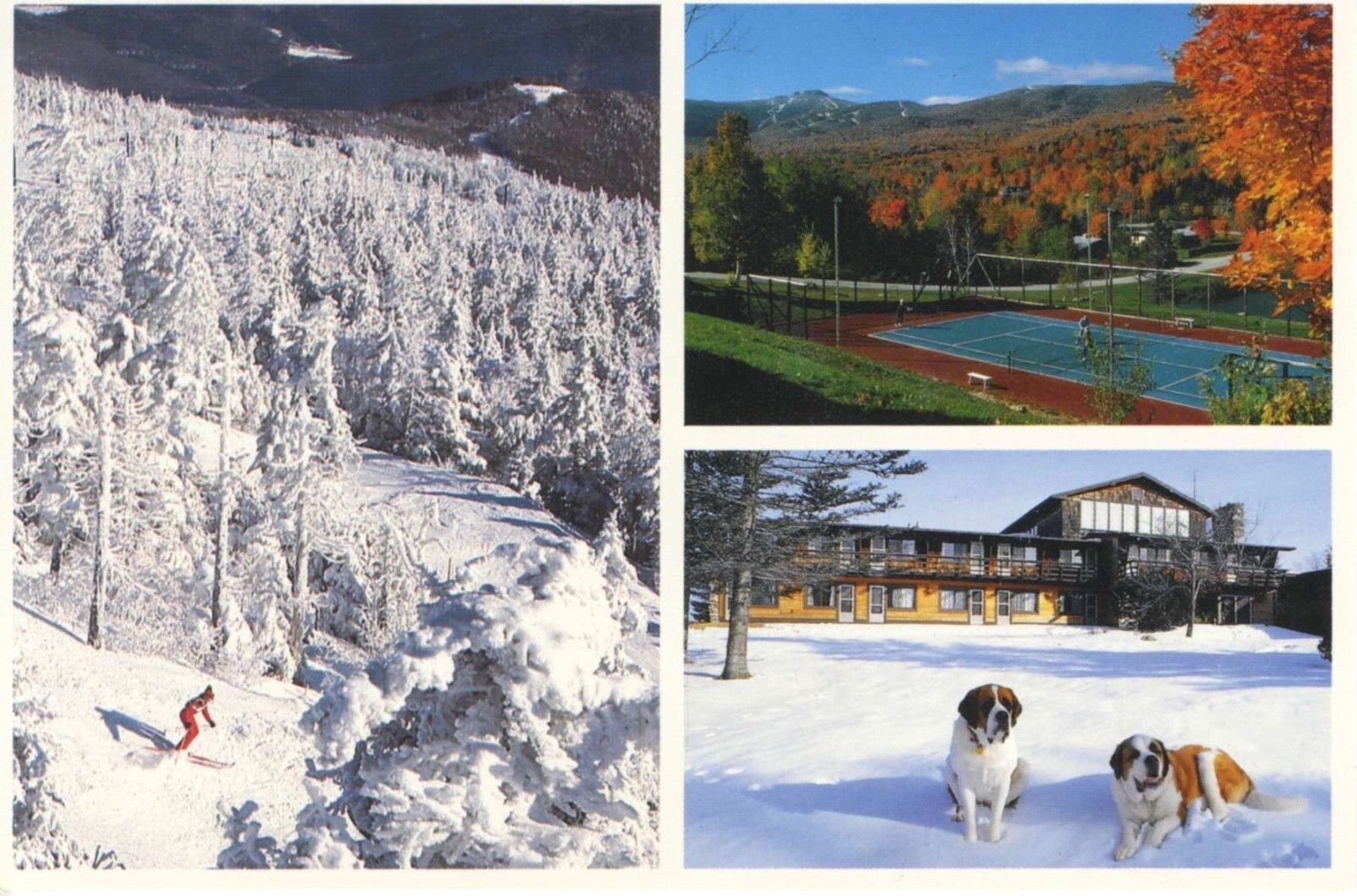 The Summit Four Season Resort Killington VT Vermont Hotel Unused Postcard D30
