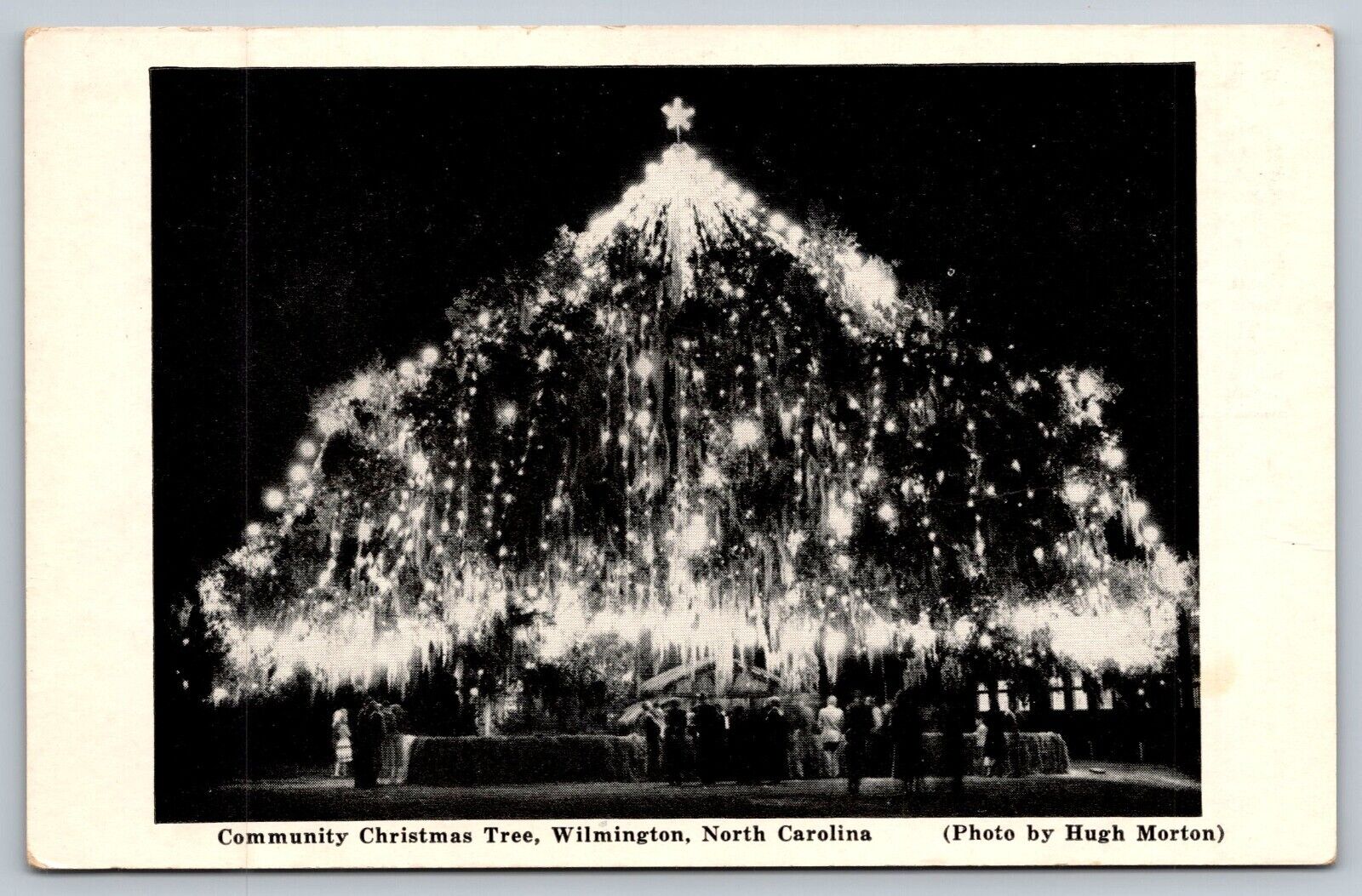 Postcard Community Christmas Tree Wilmington North Carolina