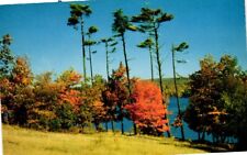 Averill Park New York Crystal Lake Vintage Postcard Card picture