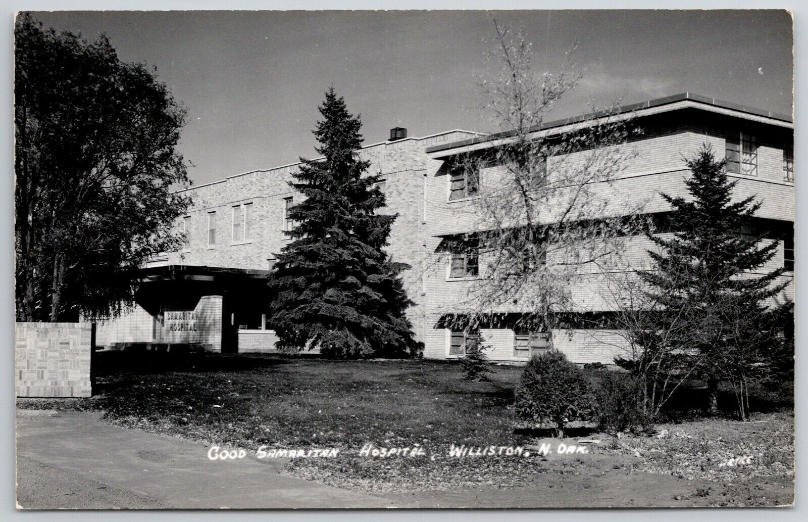 Williston North Dakota~Tall Evergreens @ Good Samaritan Hospital RPPC c1950