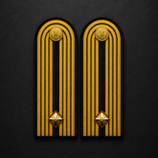 Ukraine Navy Junior Lieutenant Parade Epaulets Shoulder Boards Ukrainian Naval F picture