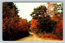 Colchester CT-Connecticut, Greetings, Scenic Autumn View, Chrome Postcard picture