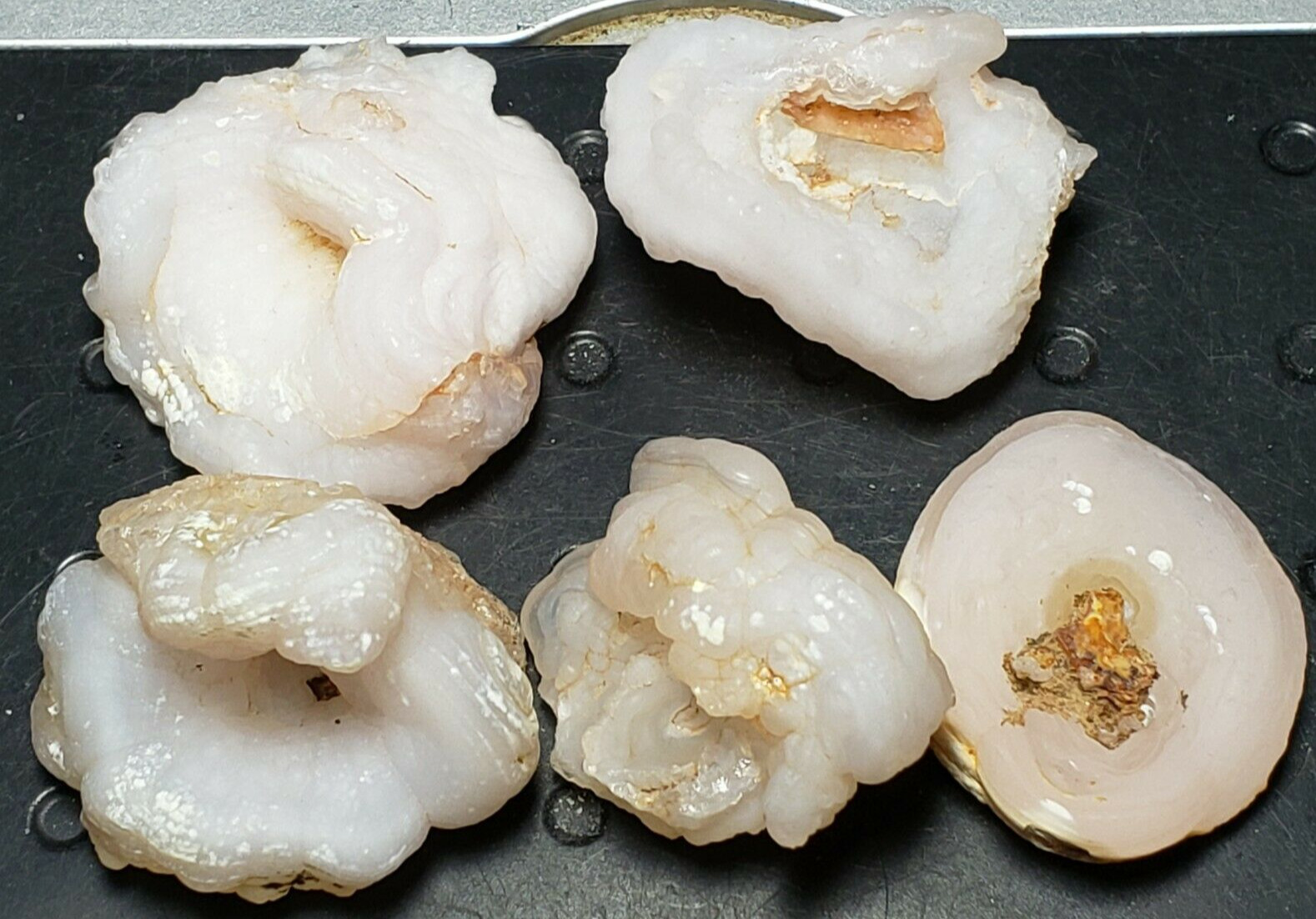 CHALCEDONY ROSE Natural Mineral Specimens x5 From Ludlow California (4.3 oz.)