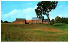 RED BARNS QUECHEE,VERMONT.VTG POSTCARD*P84 picture
