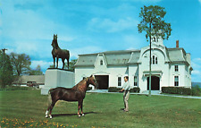 Weybridge VT, University of Vermont, Morgan Horse Farm, Vintage Postcard picture