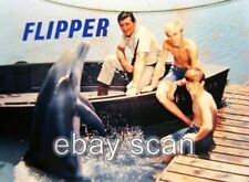 FLIPPER THE DOLPHIN BRIAN KELLY  LUKE HALPIN AND TOMMY NORDON   8X10 PHOTO 74 picture