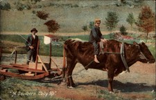 Southern Tally Ho oxen pulling sled posted 1910 Waterville NY postcard g567 picture