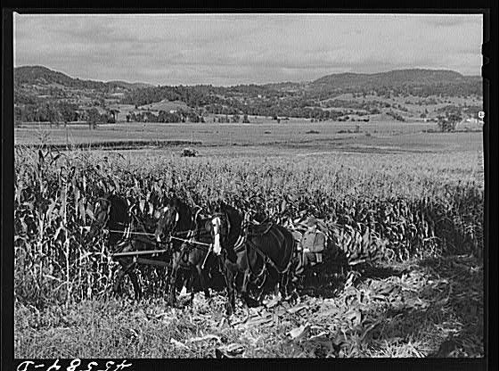 Hinesburg,Vermont,VT,Chittendon County,Farm Security Administration,1941,FSA,1
