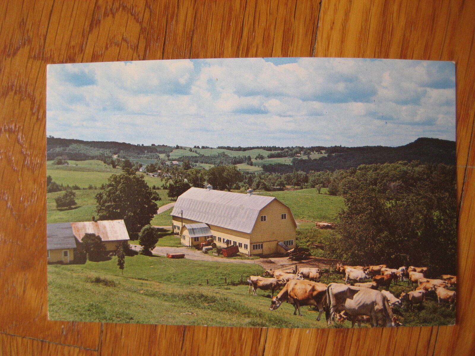 vintage Twin Maple Farm Walden Vermont POSTCARD photo VT Cabot farm landscape