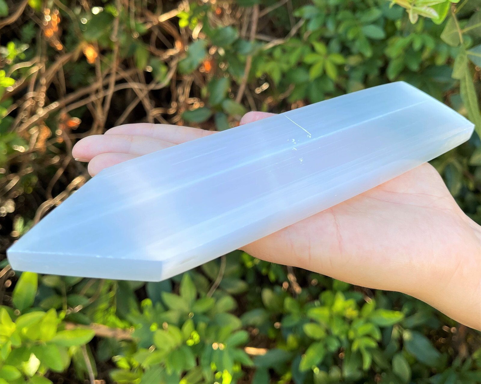 LARGE 8 LARGE 8