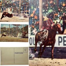 Postcard OR Pendleton Chester Byers Roping Steer Cowboy C.T. Art-Colortone Linen picture
