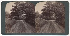 CONNECTICUT SV - Twin Lakes area Road near Canaan RARE picture
