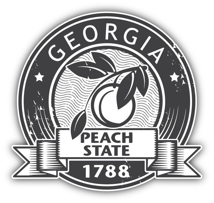 Georgia Peach State United States Grunge Travel Car Bumper Sticker Decal 5\