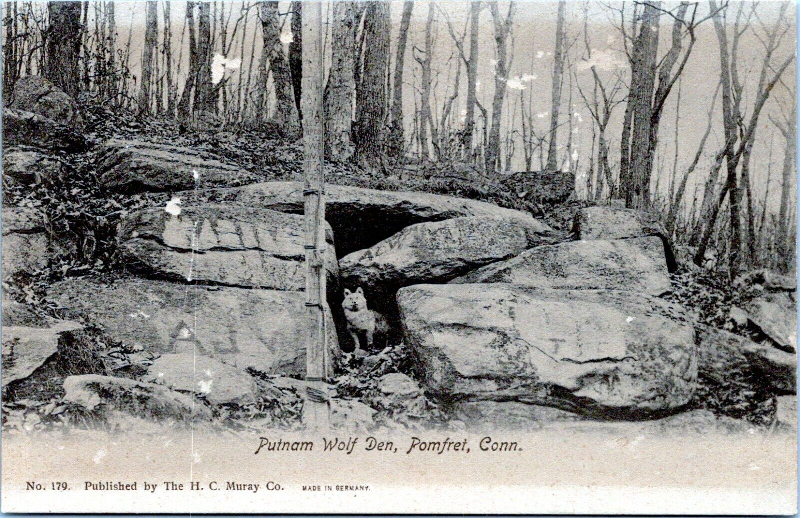 Pomfret Connecticut Postcard 1907 Putnam Wolf Den Mashamoquet Brook  NH