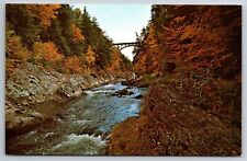 Vintage Postcard VT Quechee Corge Nature Bridge Chrome -12974 picture