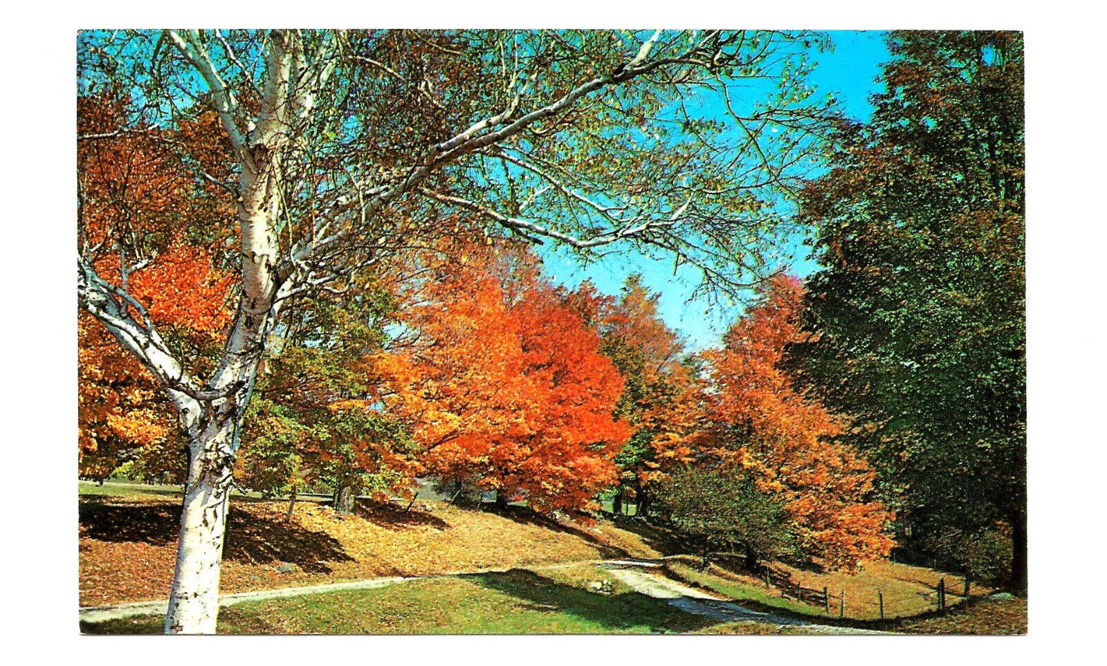 Tinmouth VT Postcard Route 140 Poultney Wallingford Vermont c1960s