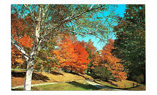 Tinmouth VT Postcard Route 140 Poultney Wallingford Vermont c1960s picture