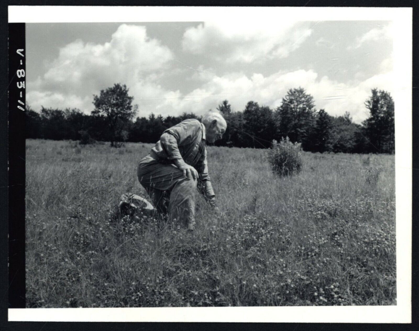 JASON BILLINGS FARM - 1957 Vintage PHOTOGRAPH - Ripton, VERMONT [Red Pine]