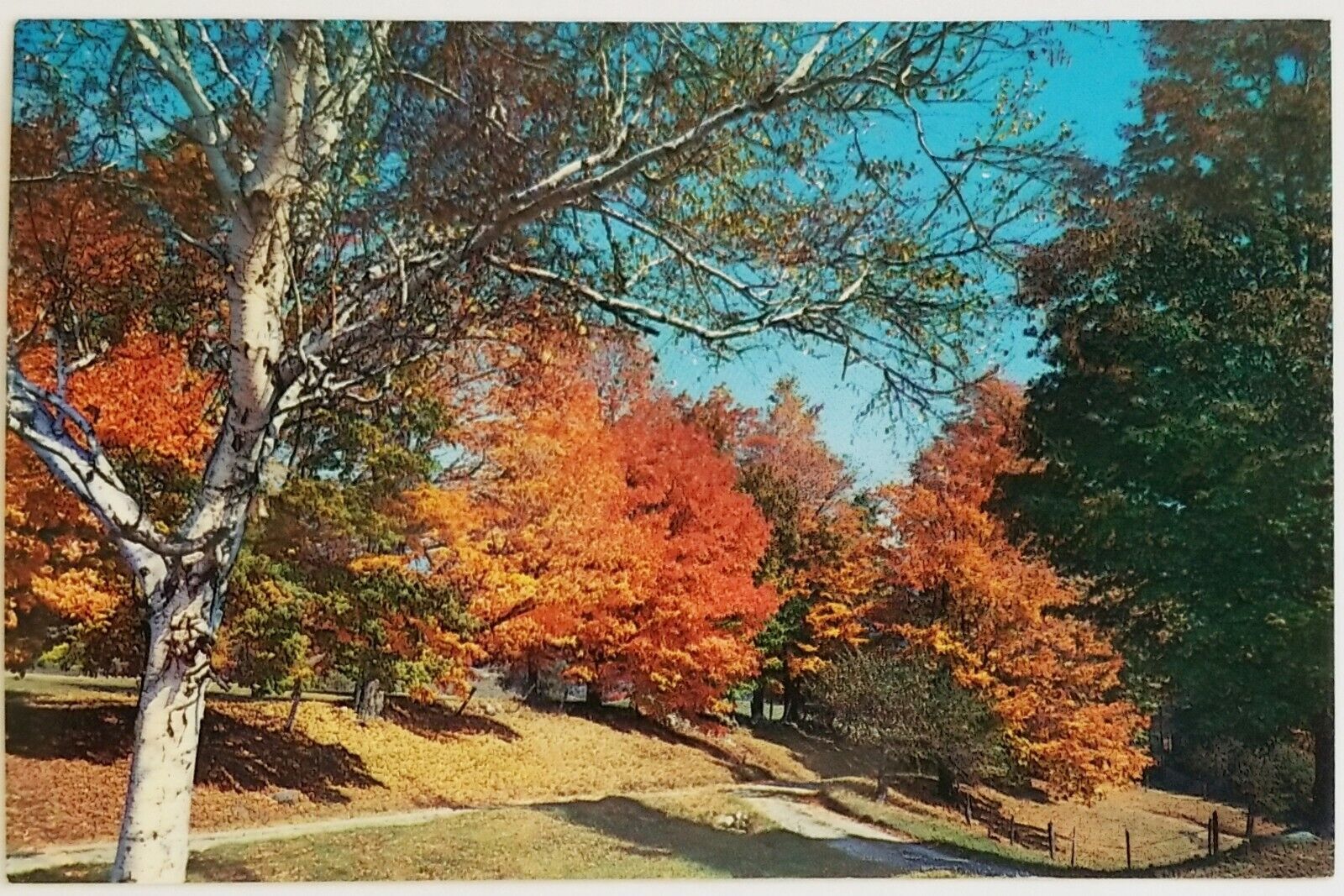 Autumn Fall Tinmouth Rutland County Vermont Postcard
