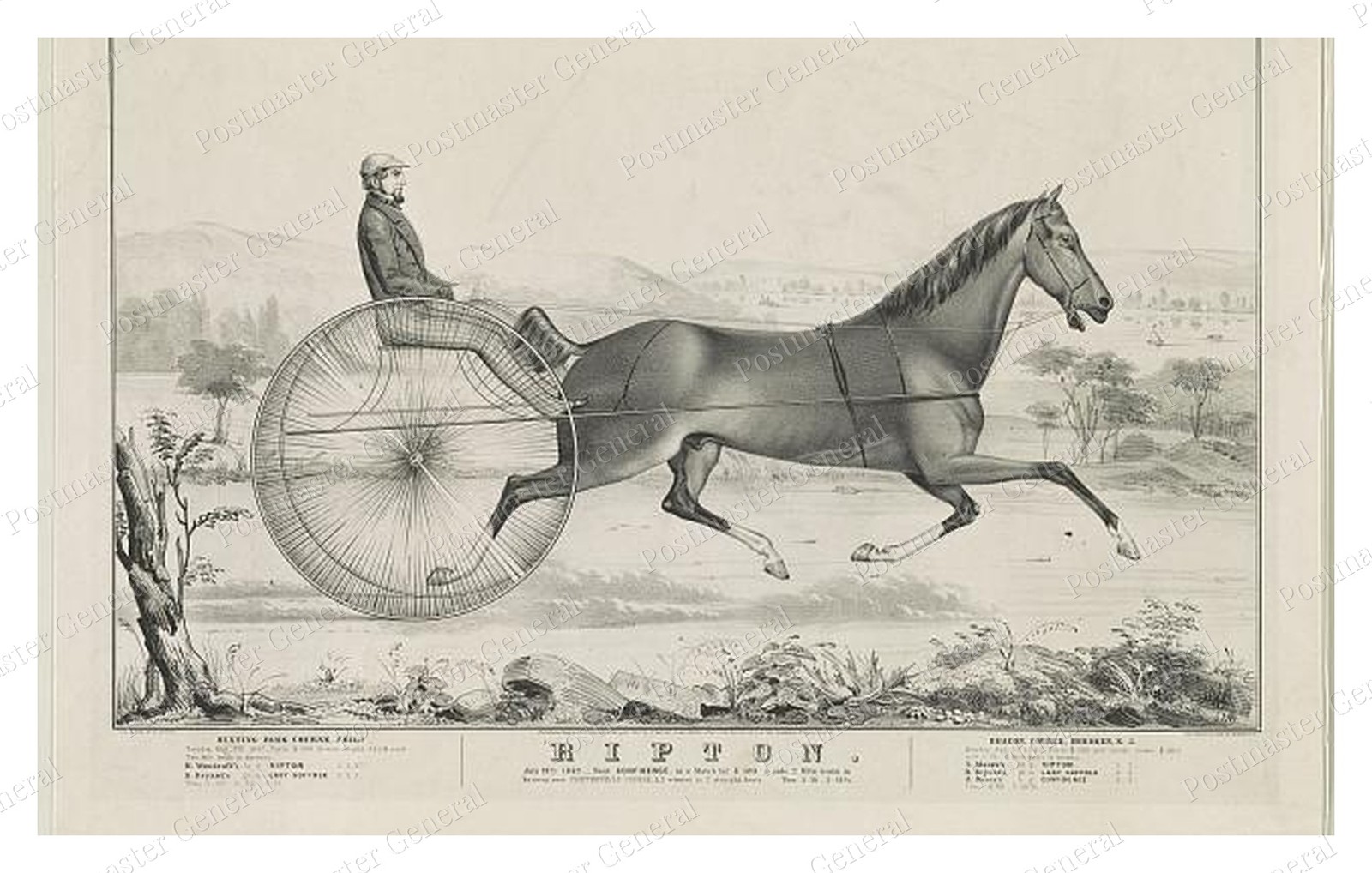Long Island Ripton Trotting Horse Standard Postcard COPY RPPC Long Island Ripton Trotting Horse Standard Postcard COPY RPPC