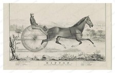 Long Island Ripton Trotting Horse Standard Postcard COPY RPPC picture