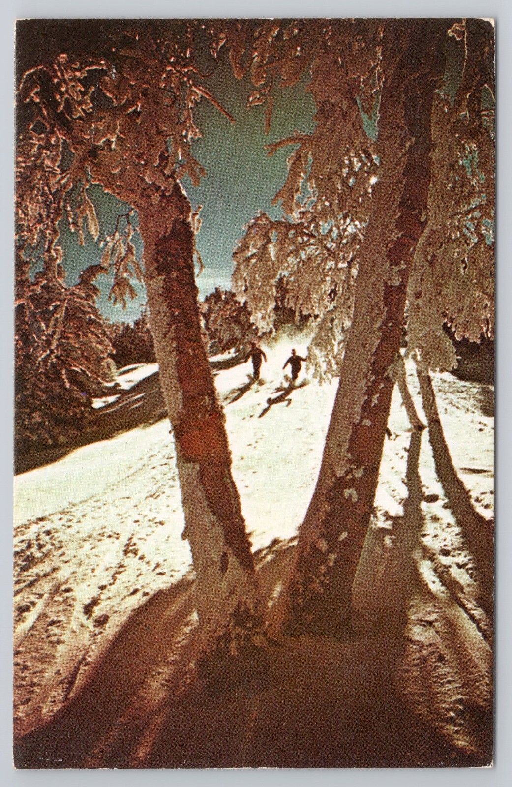 Postcard Waitsfield Vermont in Early Winter Skiing Postcard Waitsfield Vermont in Early Winter Skiing
