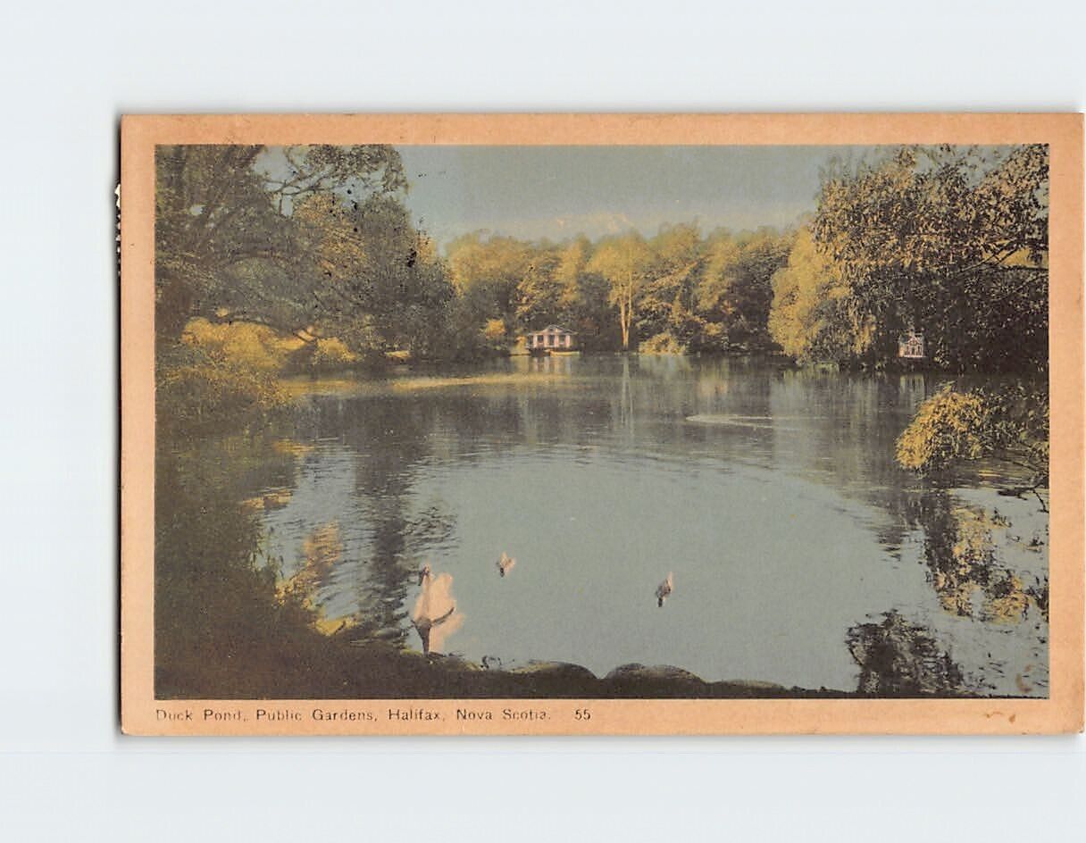 Postcard Duck Pond, Public Gardens, Halifax, Canada