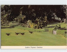 Ladew Topiary Gardens Monkton Maryland USA F-363349 picture