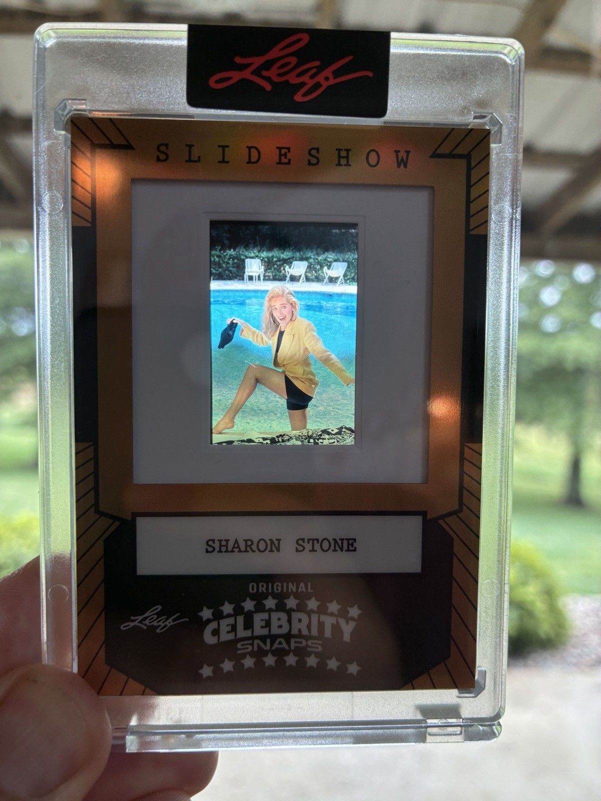 Sharon Stone 2026 Leaf Slideshow Celebrity Snaps Metal Gold Prismatic 1/25