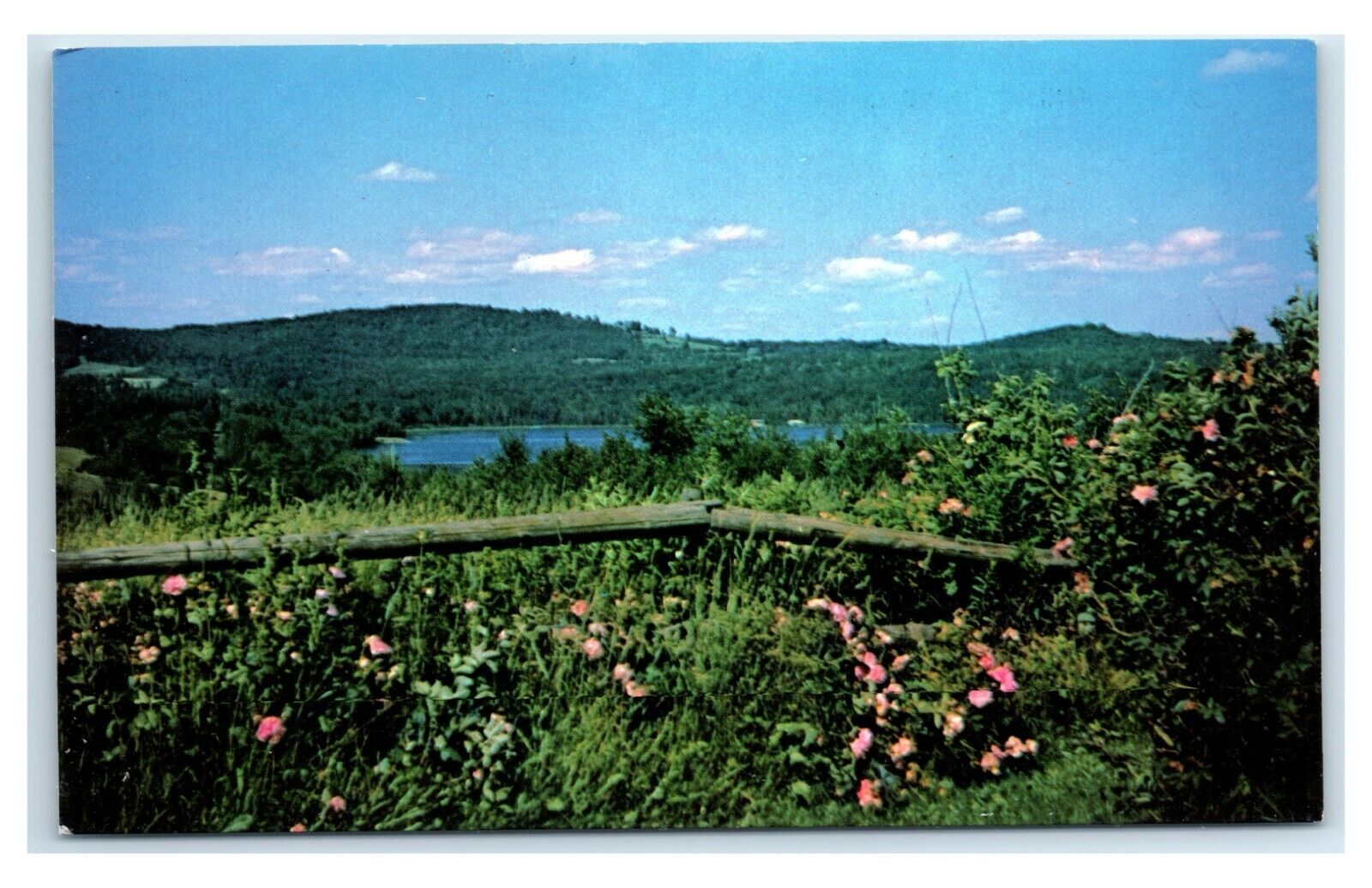 Postcard Brownington Pond, Vermont T54