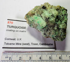 TURQUOISE on Matrix, from Tolcarne Mine, CORNWALL picture