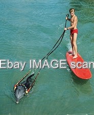 LUKE HALPIN   FLIPPER THE DOLPHIN   8X10 PHOTO istok1 picture