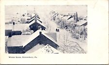 Postcard Homes and Street Scene Covered in Snow, Shrewsbury, Pennsylvania~3752 picture