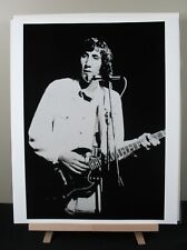 Pete Townshend The Who Large Format 16x20 Vintage Photograph picture