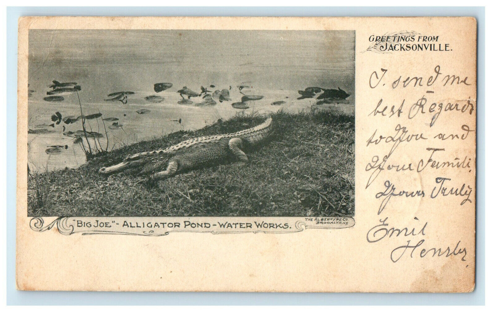 1903 Big Joe Alligator Greetings from Jacksonville, Vergennes VT Postcard