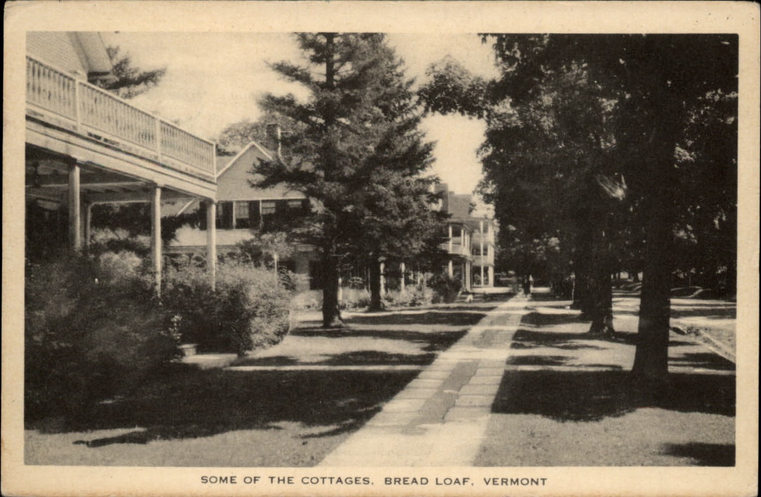 Cottages Bread Loaf Ripton Vermont ~ dated 1959 vintage postcard