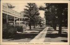 Cottages Bread Loaf Ripton Vermont ~ dated 1959 vintage postcard picture