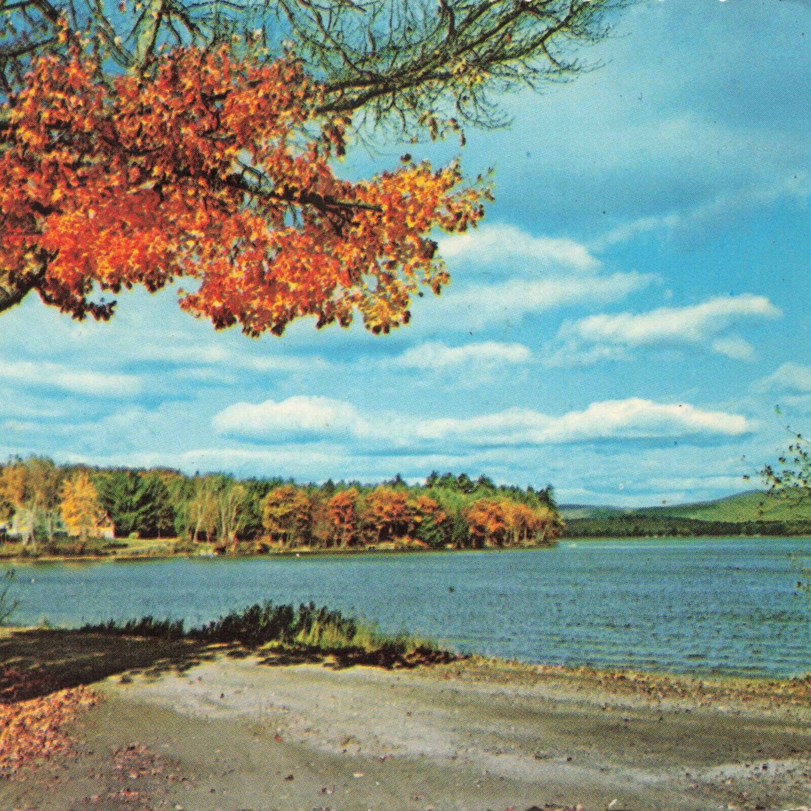 Autumn Nature VT Fairlee Vermont 1971 Chrome New England Lake Trees Postcard