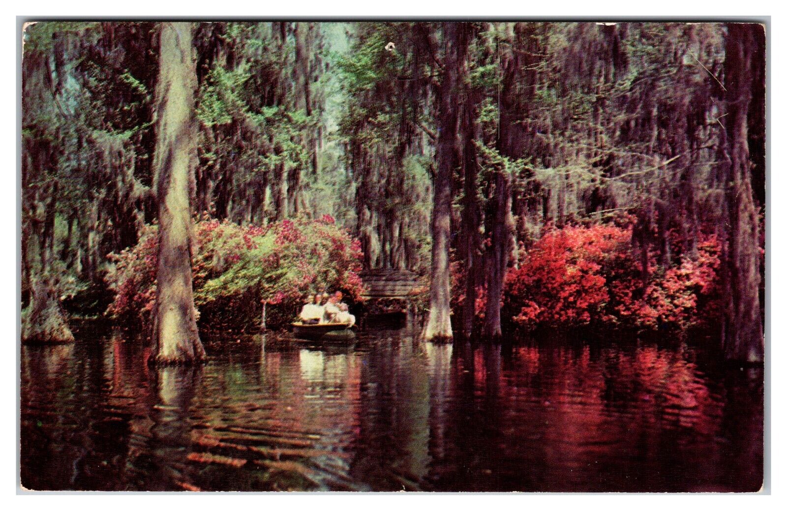 Cypress Gardens, Dean Hall Plantation Near Charleston, South Carolina Postcard