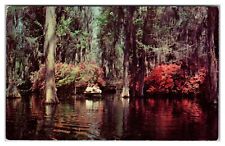 Cypress Gardens, Dean Hall Plantation Near Charleston, South Carolina Postcard picture